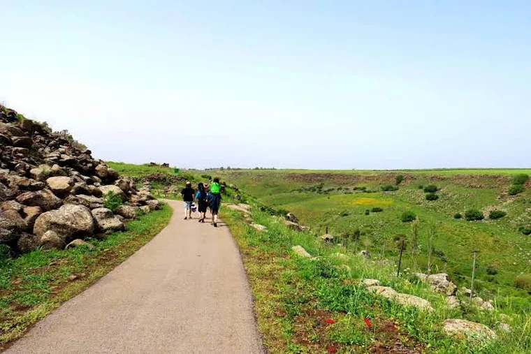 שביל הליכה בין סלעי בזלת בדרום רמת הגולן